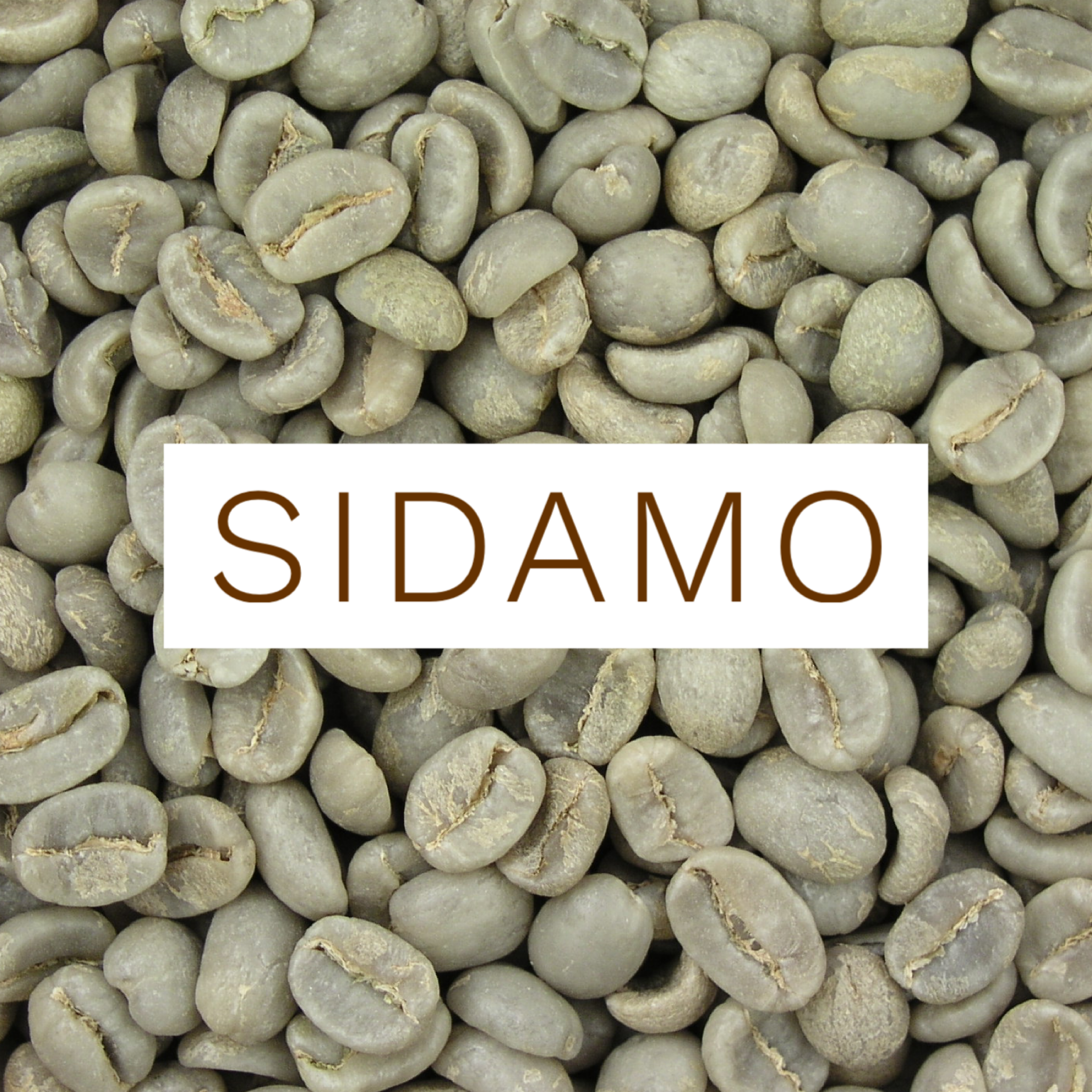 Sidama - raw green beans