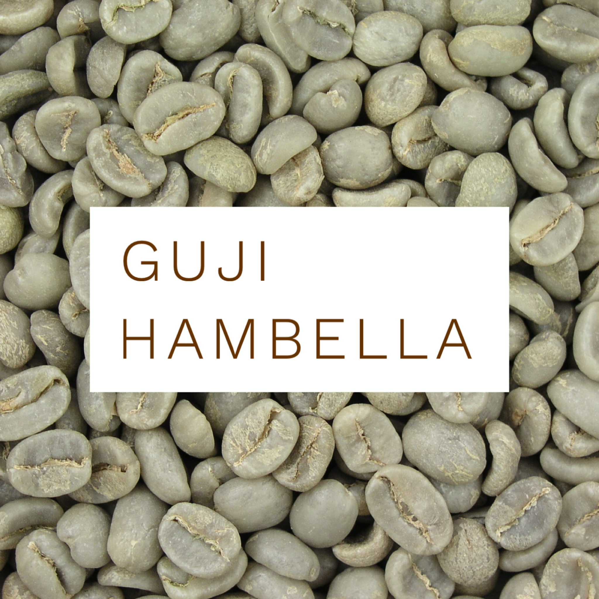 Guji Hambella - raw green beans